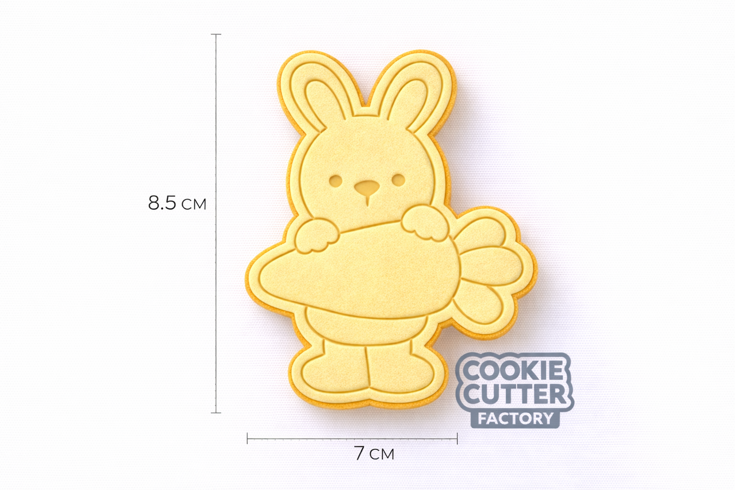 Easter Bunny with Large Carrot Cookie Cutter and Embosser Set – Easter Collection