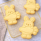 Easter Bunny with Large Carrot Cookie Cutter and Embosser Set – Easter Collection
