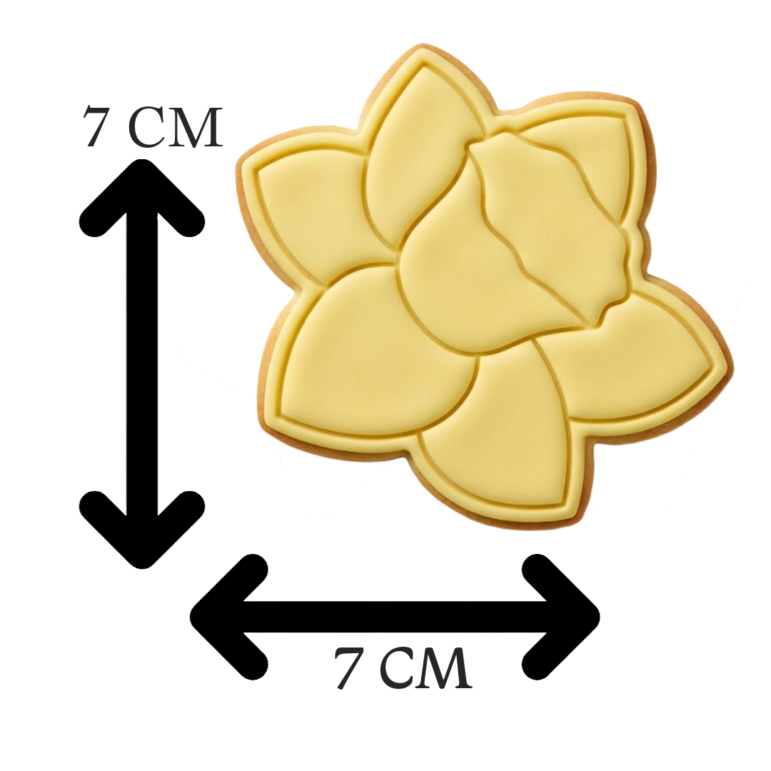 Daffodil Flower Cookie Cutter and Embosser Stamp Set | Narcissus, Spring, Easter, Floral
