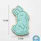 Cute Standing Bunny Cookie Cutter and Embosser | Easter & Spring Animal Baking Tool