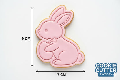 Easter Bunny with Egg Cookie Cutter and Embosser Set – Holiday Collection