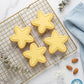 Cute Starfish Cookie Cutter and Embosser Stamp | Under the Sea, Ocean Party