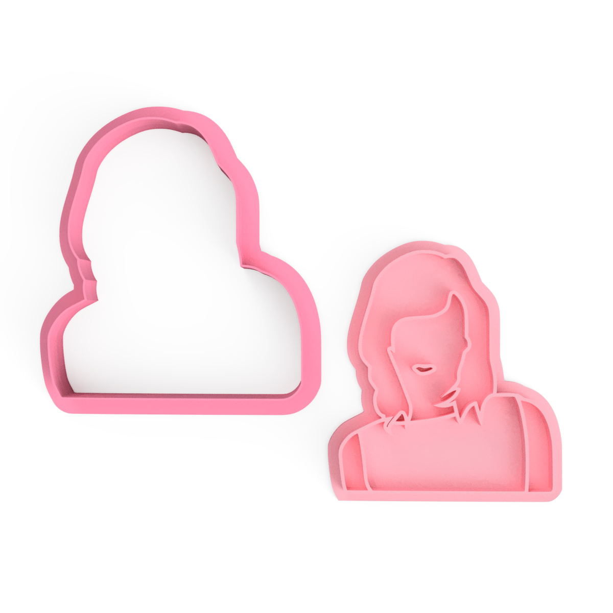 Taylor Swift Cookie Cutters Stamp Embossers Pop Culture